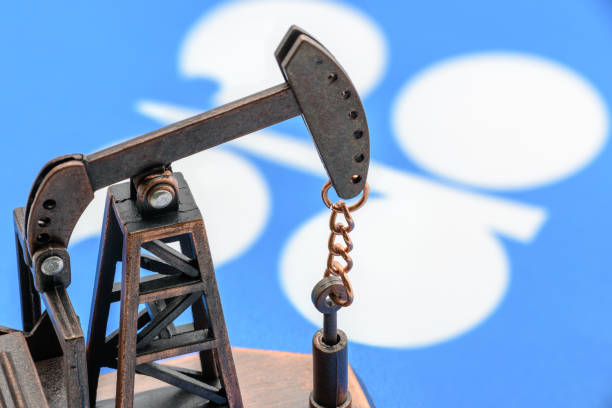 OPEC + thảo luận về sự phục hồi nhu cầu đình trệ, sự trở lại của dầu Libya